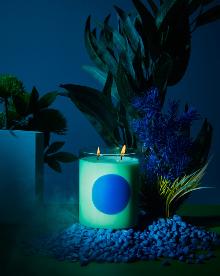 Disco Candle - Basil & Sweet Lime